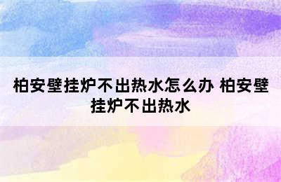 柏安壁挂炉不出热水怎么办 柏安壁挂炉不出热水